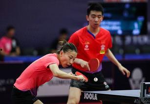 马特乒乓爆料视频,揭秘乒乓球界不为人知的幕后故事  第3张